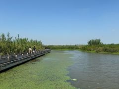 -宁波杭州湾国家湿地公园