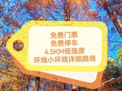 -白水寺森林公园