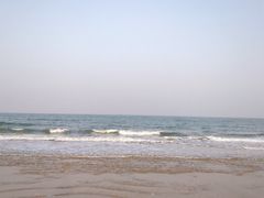 -日照海滨国家森林公园