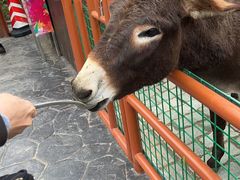 -无锡动物园·太湖欢乐园