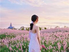 -荷兰花海