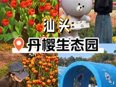 -丹樱生态园