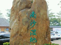 -大湾区中央湿地公园