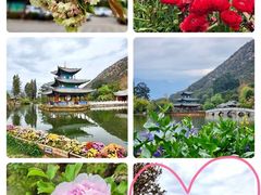 -黑龙潭公园