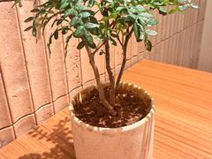 -CURRY YA 熟成咖哩專門店(深圳湾万象城店)