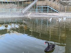 -北京鹿世界主题园