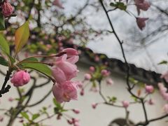 -沧浪亭