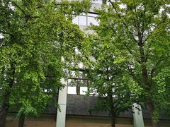 -北京师范大学附属中学