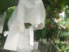 -乡乐园蟹庄·阳澄湖农家乐