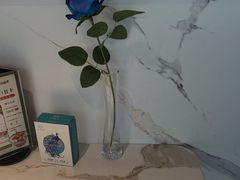 -雀蓝川菜(滨湖万象汇店)