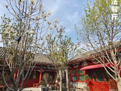 -北京古城老院厉晓麟精致菜