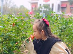 -橘洲1910花园江景西餐厅