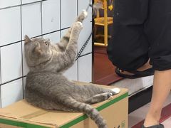 -双生肠粉(牌坊街总店)