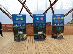 -怀托摩萤火虫洞