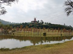 -东莞植物园
