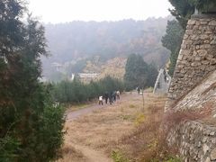 -遵化市禅林寺古银杏风景园