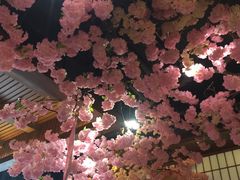 -尺山寸水日料(马桥满天星店)