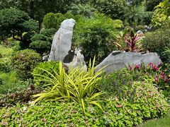 -东莞植物园