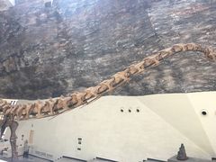 -中华赏石园