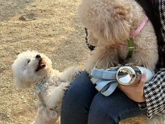 -心仪动物医院·牙专科·肿瘤·心脏科(西客站院)