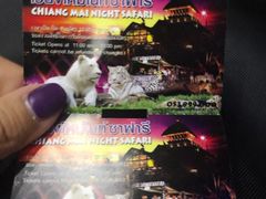 -清迈夜间动物园