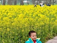 -中国天府农业博览园