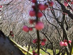 -蜀冈西峰生态公园