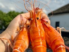 -小陆莲花蟹园农家乐(莲花岛店)