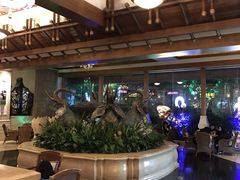 -杭州第一世界大酒店·云曼温泉