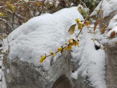 -月坛公园