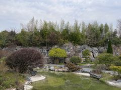 -上海吴淞炮台湾国家湿地公园