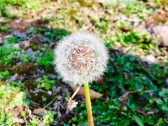 -幕燕滨江·长江观音景区