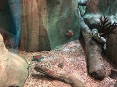 -沈阳海洋探索中心