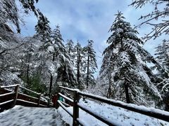 -峨眉山风景名胜区