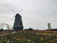-都江堰玫瑰花溪谷