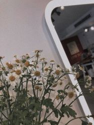 -净漪造型 PURE RIPPLE