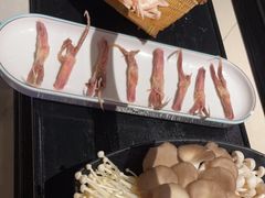 -辣伍鲜毛肚老火锅(元一店)