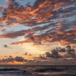 -薇兰专业脱毛连锁机构