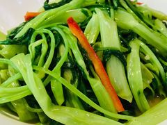 -茂港柏香(侨港路店)
