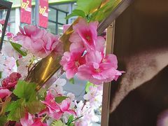 -香港威特瑞茶餐厅(小白楼音乐厅店)