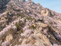 -北京凤凰岭