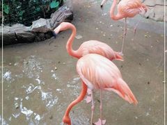 -长鹿旅游休博园