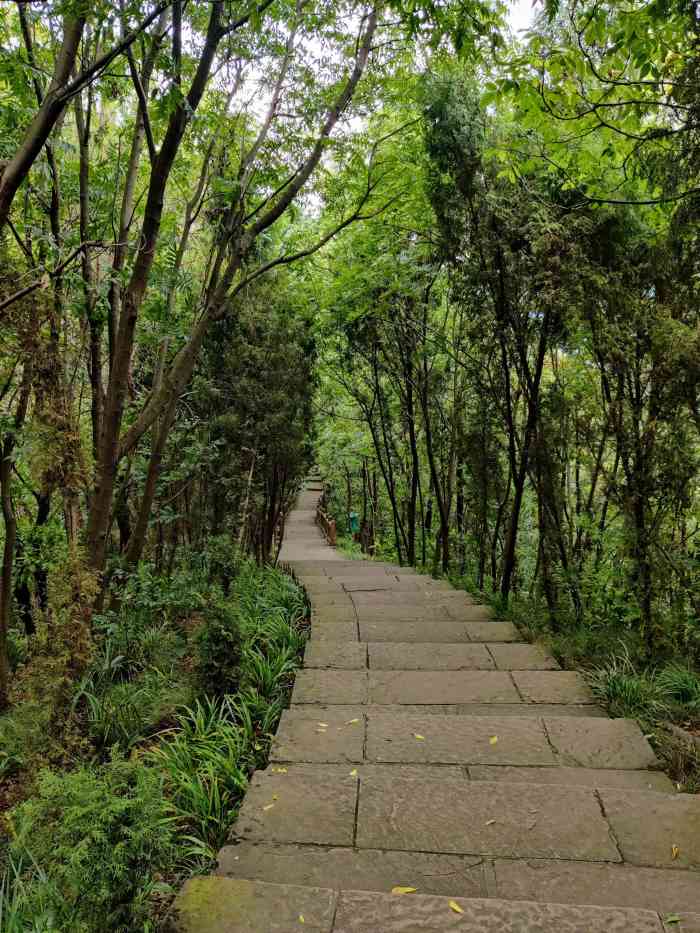 紫霞山-"选了一个离城里最近,坐地铁也能到的地方爬."-大众点评移动版