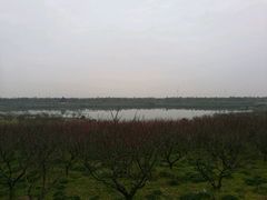 楚梅阁-上海海湾国家森林公园