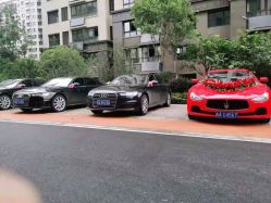-蚂蚁婚车
