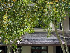 -四季酒店下午茶