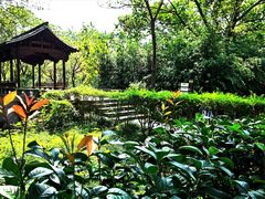 -西溪国家湿地公园