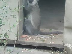 -成都动物园