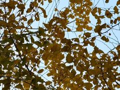 -杭州城北体育公园