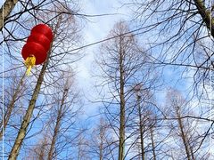 -东平国家森林公园